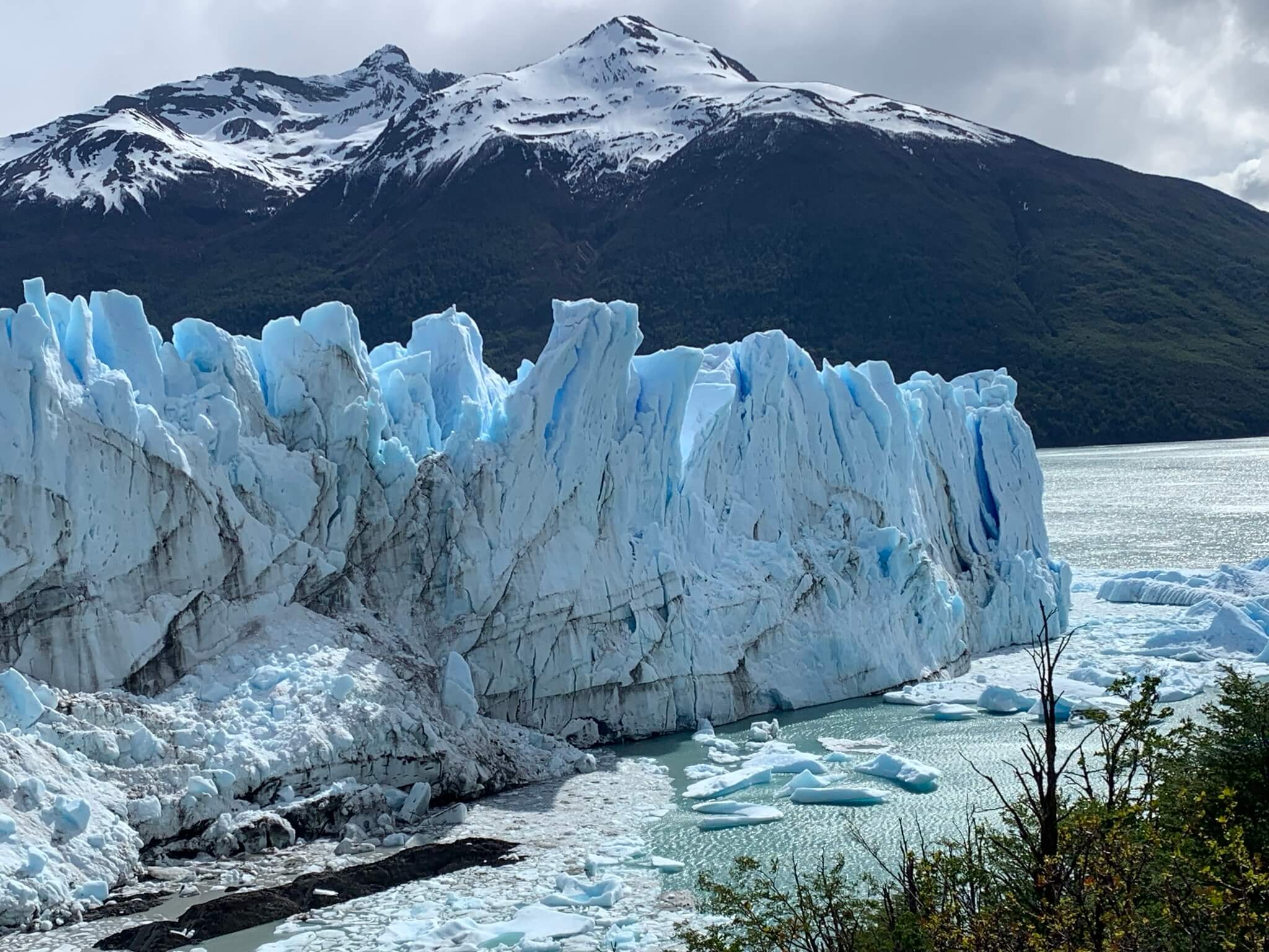 EL CALAFATE