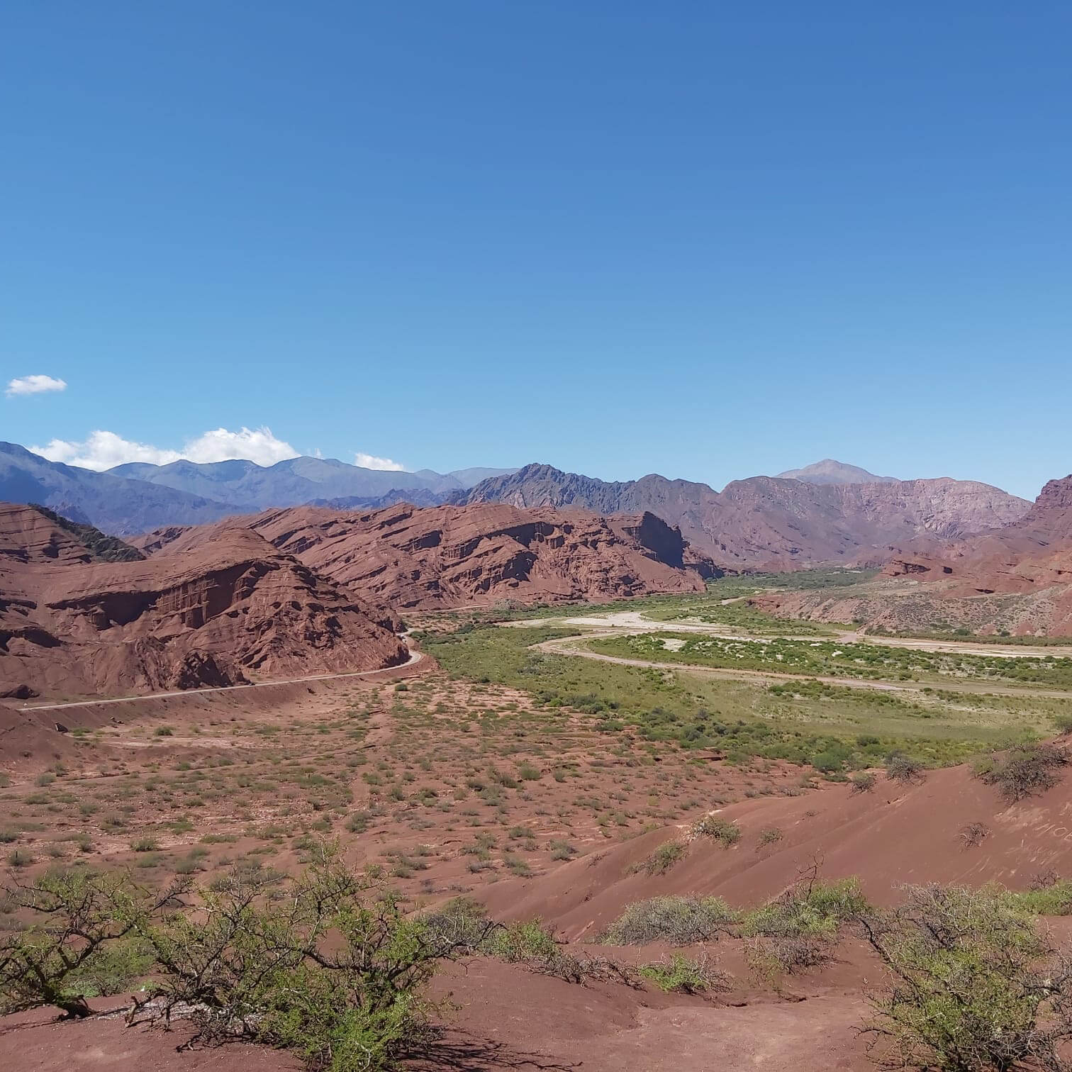 Cafayate